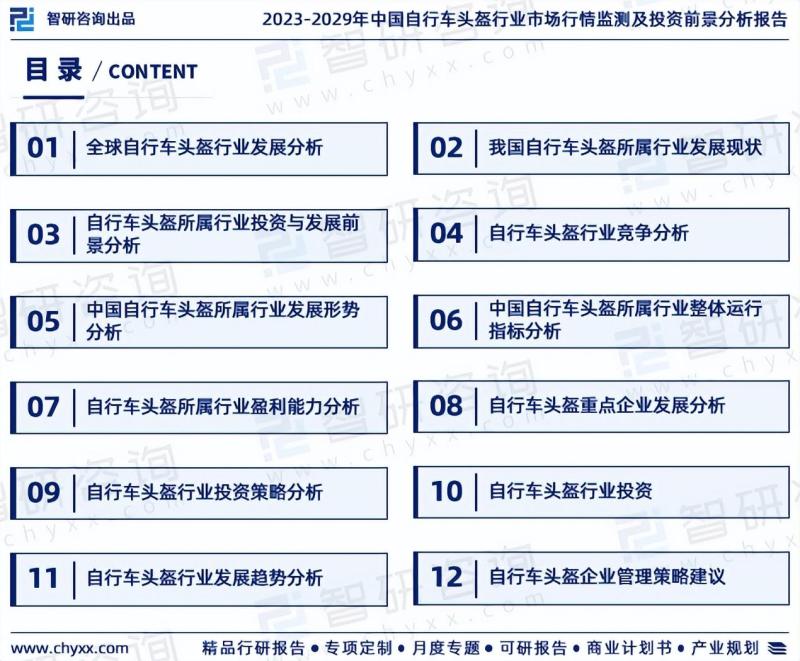 2023版中国自行车头盔行业市场分析研究报告-图片1