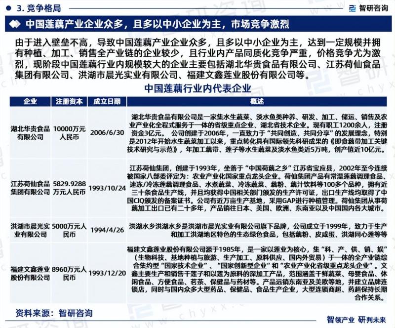 中国莲藕行业市场全景调查、投资策略研究报告-图片4