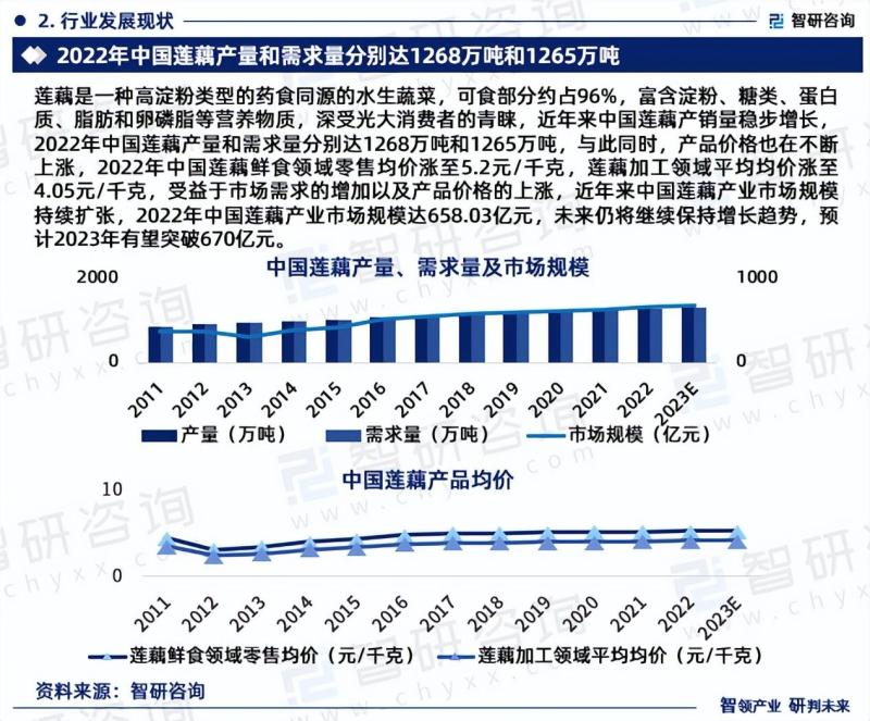 中国莲藕行业市场全景调查、投资策略研究报告-图片3