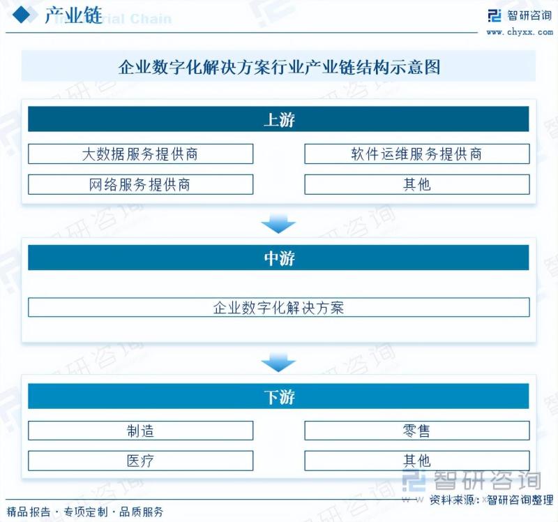 2023年中国企业数字化解决方案行业市场研究报告-图片3