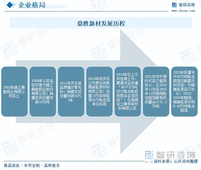2023年中国电池铝箔行业市场研究报告-图片3